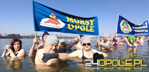 Morsy kończą sezon. Kolejne wejście do wody....latem 