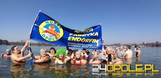 Morsy kończą sezon. Kolejne wejście do wody....latem 