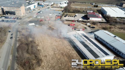 Pożar hali produkcyjnej w Opolu