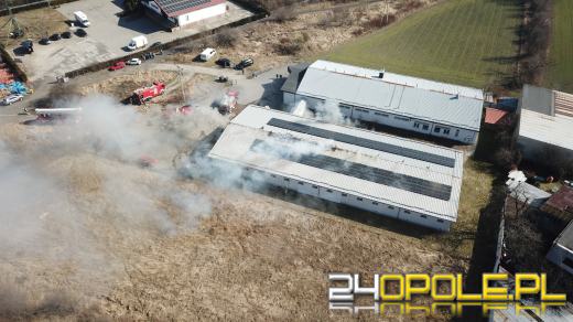 Pożar hali produkcyjnej w Opolu