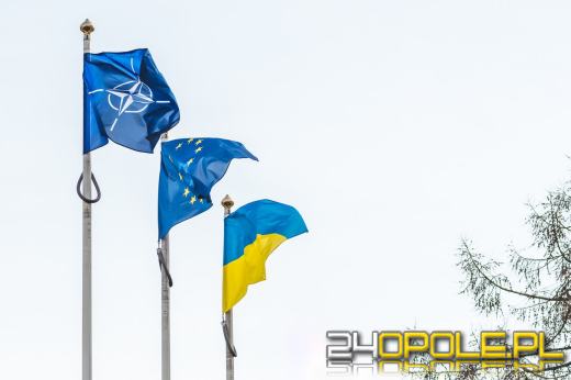 Wojna w Ukrainie. NATO powinno zrobić więcej. Sondaż 