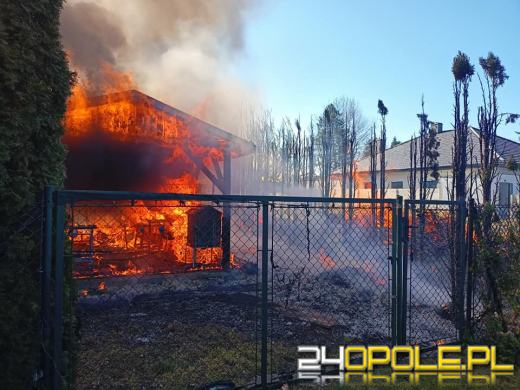 Pożar wiaty ogrodowej w Nysie
