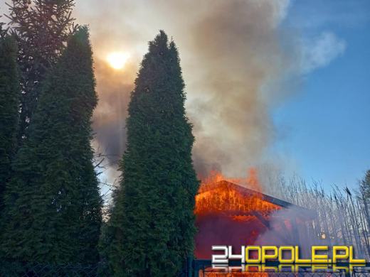 Pożar wiaty ogrodowej w Nysie