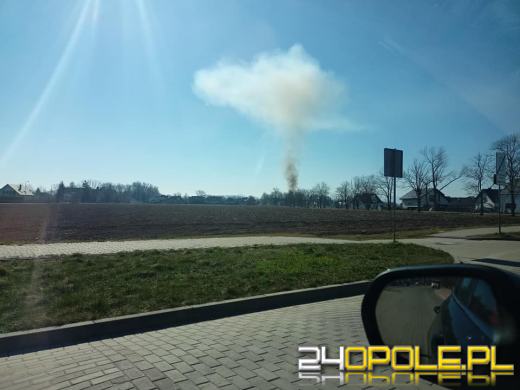 Pożar wiaty ogrodowej w Nysie