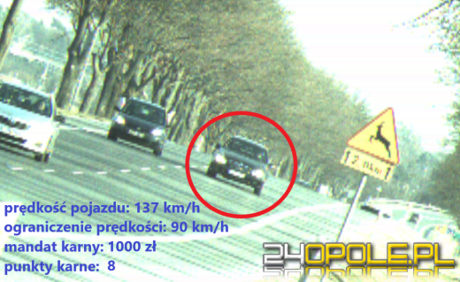 Kierowco - noga z gazu!