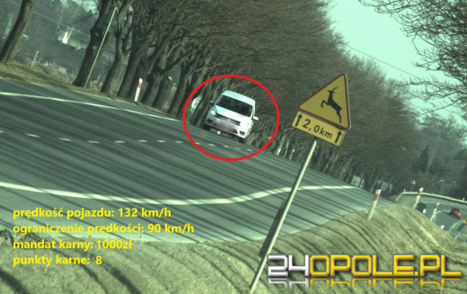 Kierowco - noga z gazu!