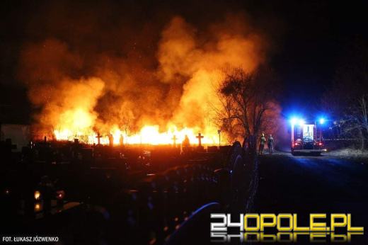 Pożar traw przy cmentarzu w Michałowicach