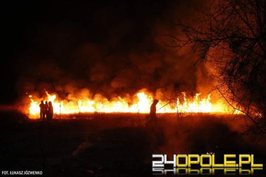 Pożar traw przy cmentarzu w Michałowicach