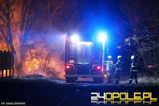 Pożar traw przy cmentarzu w Michałowicach
