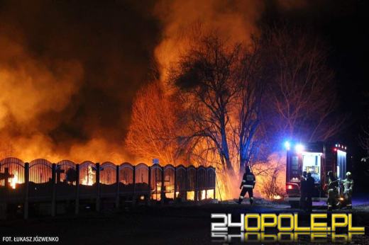 Pożar traw przy cmentarzu w Michałowicach