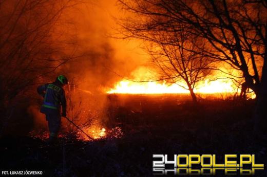Pożar traw przy cmentarzu w Michałowicach