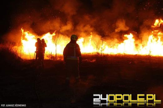 Pożar traw przy cmentarzu w Michałowicach