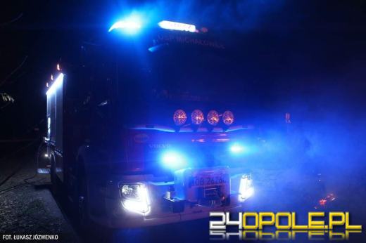 Pożar traw przy cmentarzu w Michałowicach