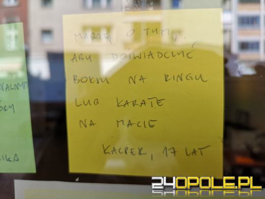 Talentownia: Trwa akcja Zajączek Marzeń - spełniamy niematerialne życzenia dzieci