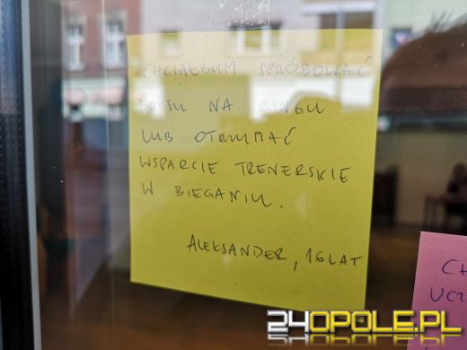 Talentownia: Trwa akcja Zajączek Marzeń - spełniamy niematerialne życzenia dzieci