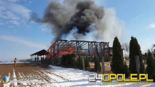 W pożarze spłonęła ciężarówka i kombajn. Akcja strażaków w Biadaczu