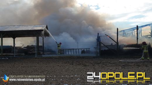 W pożarze spłonęła ciężarówka i kombajn. Akcja strażaków w Biadaczu