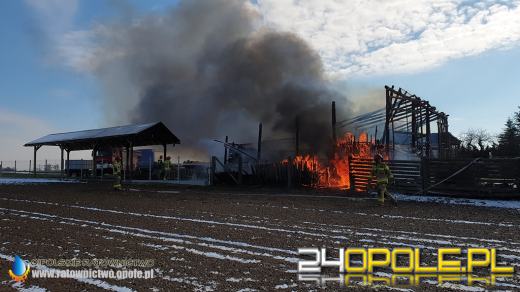 W pożarze spłonęła ciężarówka i kombajn. Akcja strażaków w Biadaczu