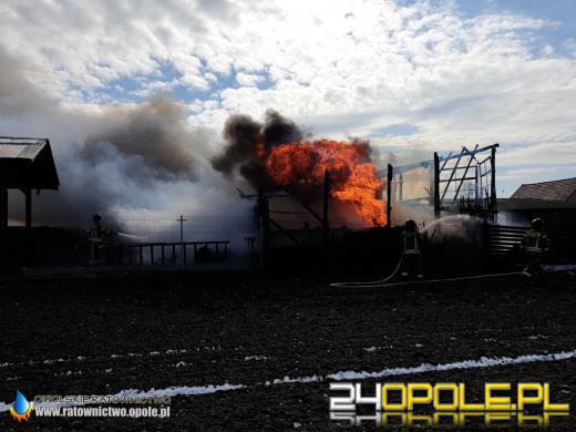 W pożarze spłonęła ciężarówka i kombajn. Akcja strażaków w Biadaczu