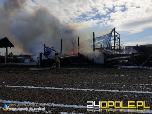 W pożarze spłonęła ciężarówka i kombajn. Akcja strażaków w Biadaczu