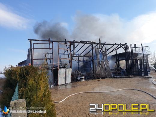 W pożarze spłonęła ciężarówka i kombajn. Akcja strażaków w Biadaczu