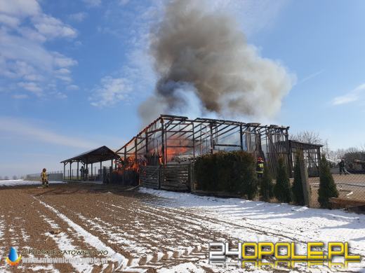 W pożarze spłonęła ciężarówka i kombajn. Akcja strażaków w Biadaczu