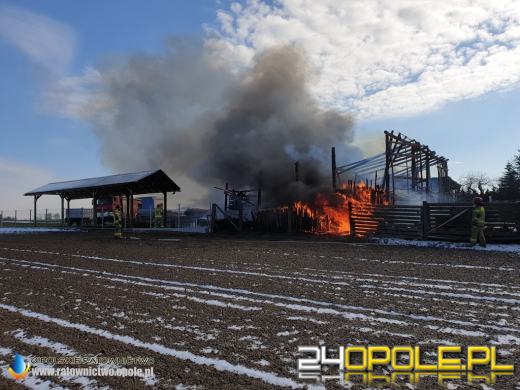 W pożarze spłonęła ciężarówka i kombajn. Akcja strażaków w Biadaczu