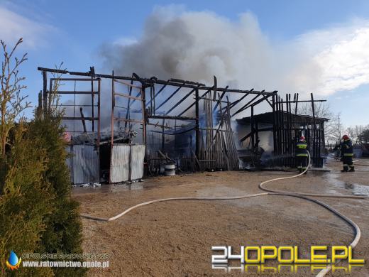 W pożarze spłonęła ciężarówka i kombajn. Akcja strażaków w Biadaczu