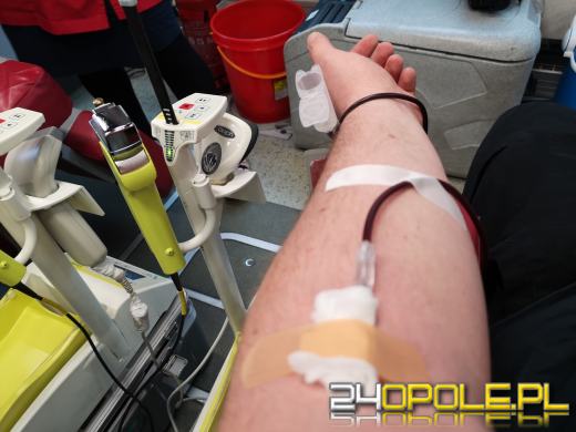 13-letnia Ania z Ukrainy zainicjowała zbiórkę krwi