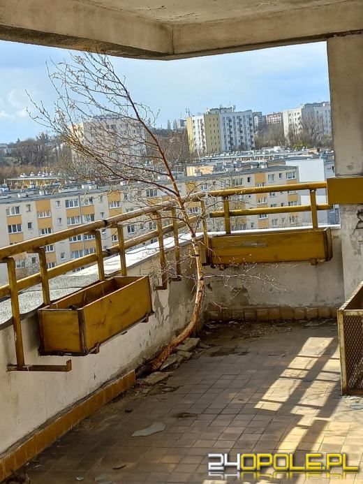 Komornik przejął osiedle należące oficjalnie do Federacji Rosyjskiej