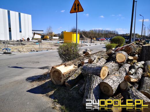 "Rzeź drzew" na Wodociągowej. Topole przeszkadzały w inwestycji