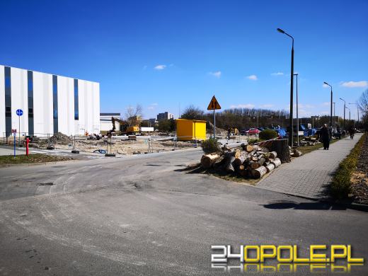 "Rzeź drzew" na Wodociągowej. Topole przeszkadzały w inwestycji