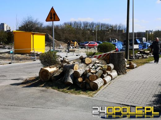"Rzeź drzew" na Wodociągowej. Topole przeszkadzały w inwestycji