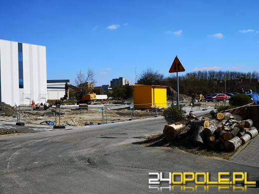 "Rzeź drzew" na Wodociągowej. Topole przeszkadzały w inwestycji