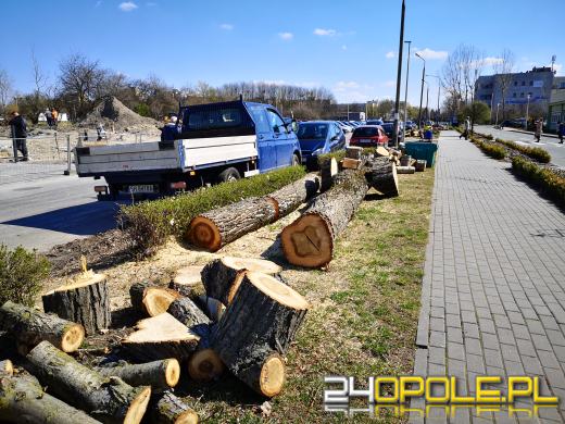 "Rzeź drzew" na Wodociągowej. Topole przeszkadzały w inwestycji