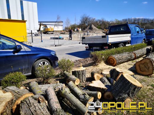 "Rzeź drzew" na Wodociągowej. Topole przeszkadzały w inwestycji