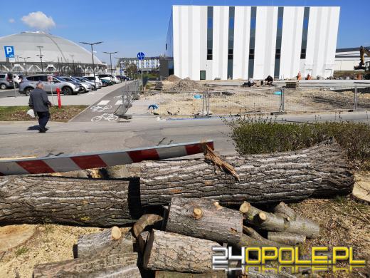 "Rzeź drzew" na Wodociągowej. Topole przeszkadzały w inwestycji