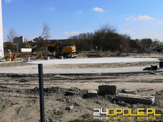 "Rzeź drzew" na Wodociągowej. Topole przeszkadzały w inwestycji