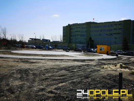 "Rzeź drzew" na Wodociągowej. Topole przeszkadzały w inwestycji