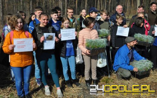 W okolicy Elektrowni Opole zasadzono "Las Pełny Energii"