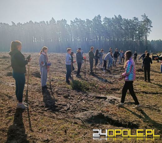 W okolicy Elektrowni Opole zasadzono "Las Pełny Energii"