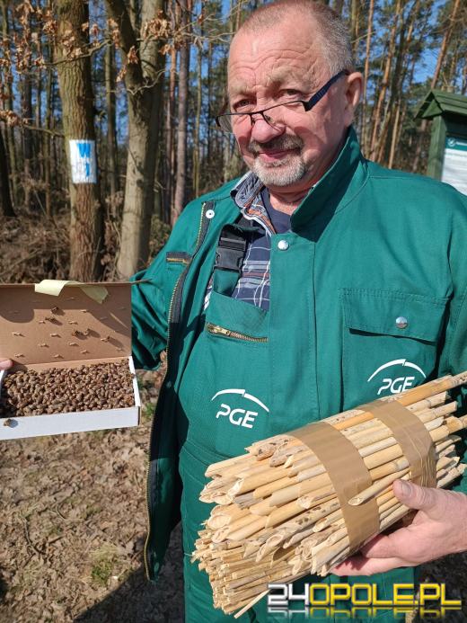 W okolicy Elektrowni Opole zasadzono "Las Pełny Energii"