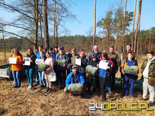 W okolicy Elektrowni Opole zasadzono "Las Pełny Energii"