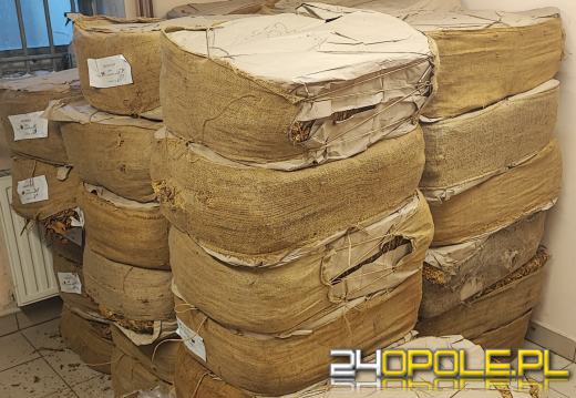 Przewoził ponad tonę nielegalnego tytoniu