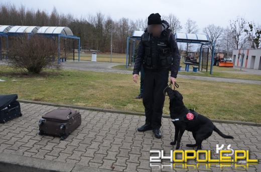 Marihuana i amfetamina znaleziona w kontrolowanych pojazdach na A4