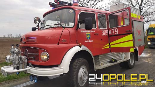 Wypadek z udziałem ciężarówki przewożącej świnie na drodze w Ciepielowicach