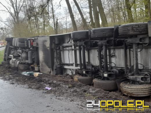 Wypadek z udziałem ciężarówki przewożącej świnie na drodze w Ciepielowicach