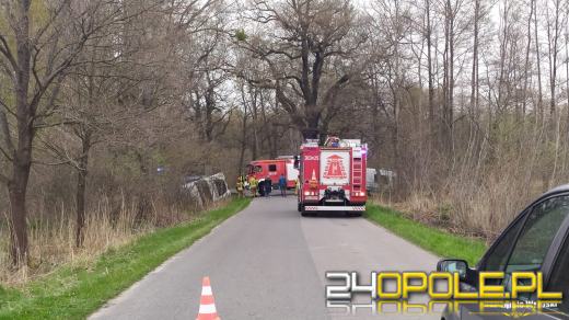 Wypadek z udziałem ciężarówki przewożącej świnie na drodze w Ciepielowicach