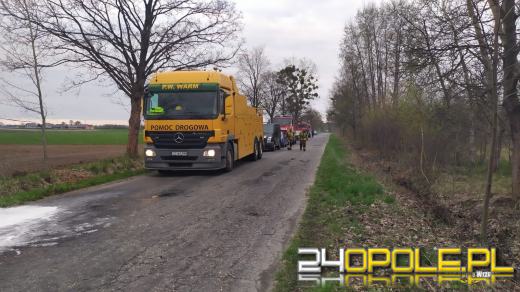 Wypadek z udziałem ciężarówki przewożącej świnie na drodze w Ciepielowicach