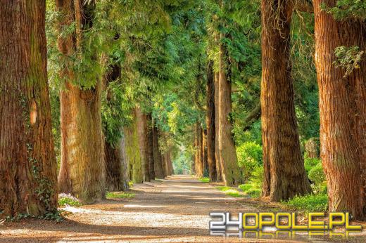 Żyj w zgodzie z naturą